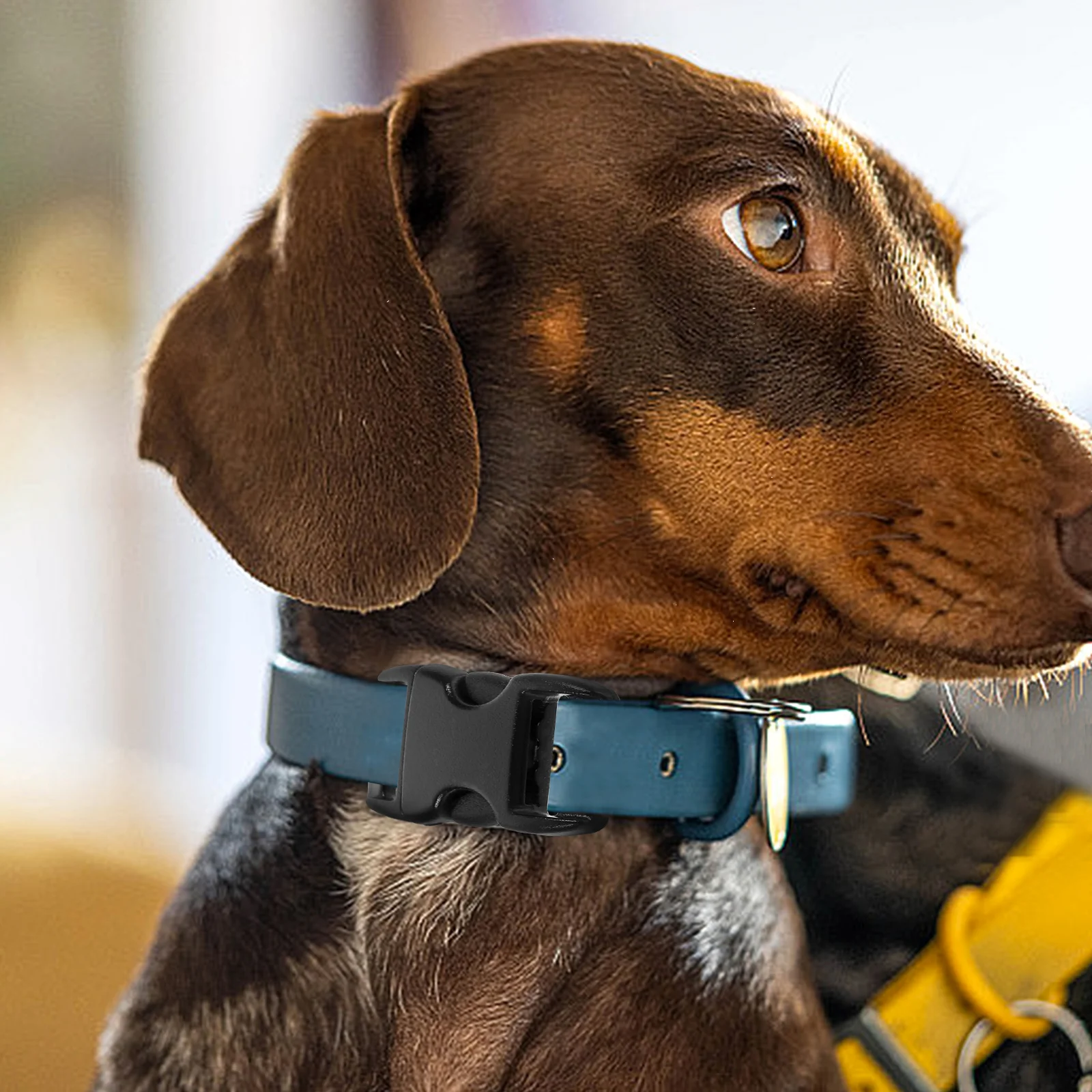 

50Pcs Side Release Buckles Black Plastic 38Mm Length Heavy Duty for Dog Collar Webbing Paracord Accessories Side Release Buckles