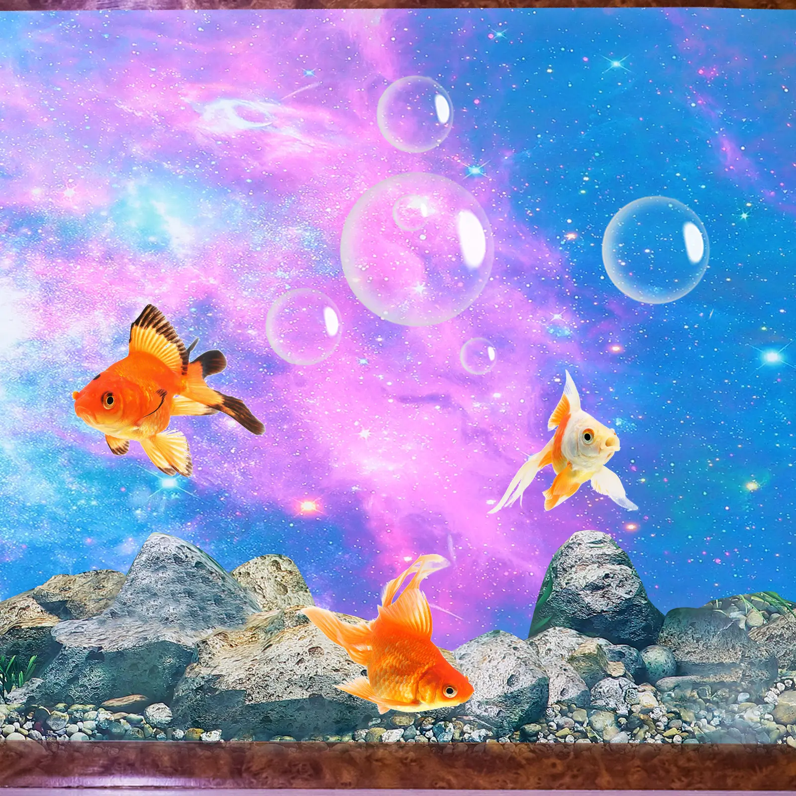 水槽背景ステッカー粘着性水槽ポスター植物壁紙デカール鮮やかな - Planted Aquarium Wallpaper のレビューと価格