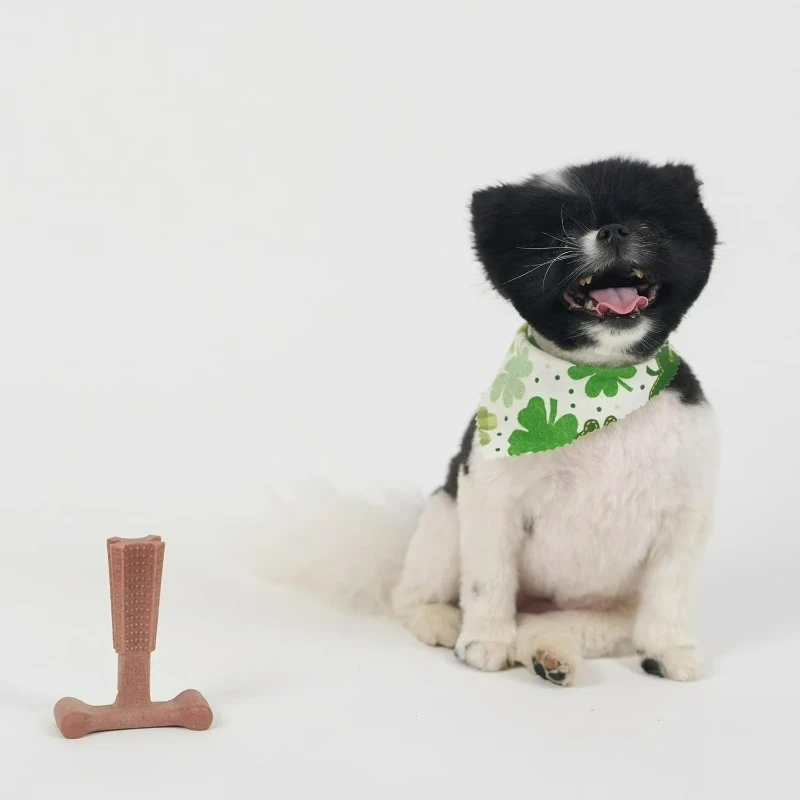 T Bone Dog Chew Toy for Aggressive Chewers