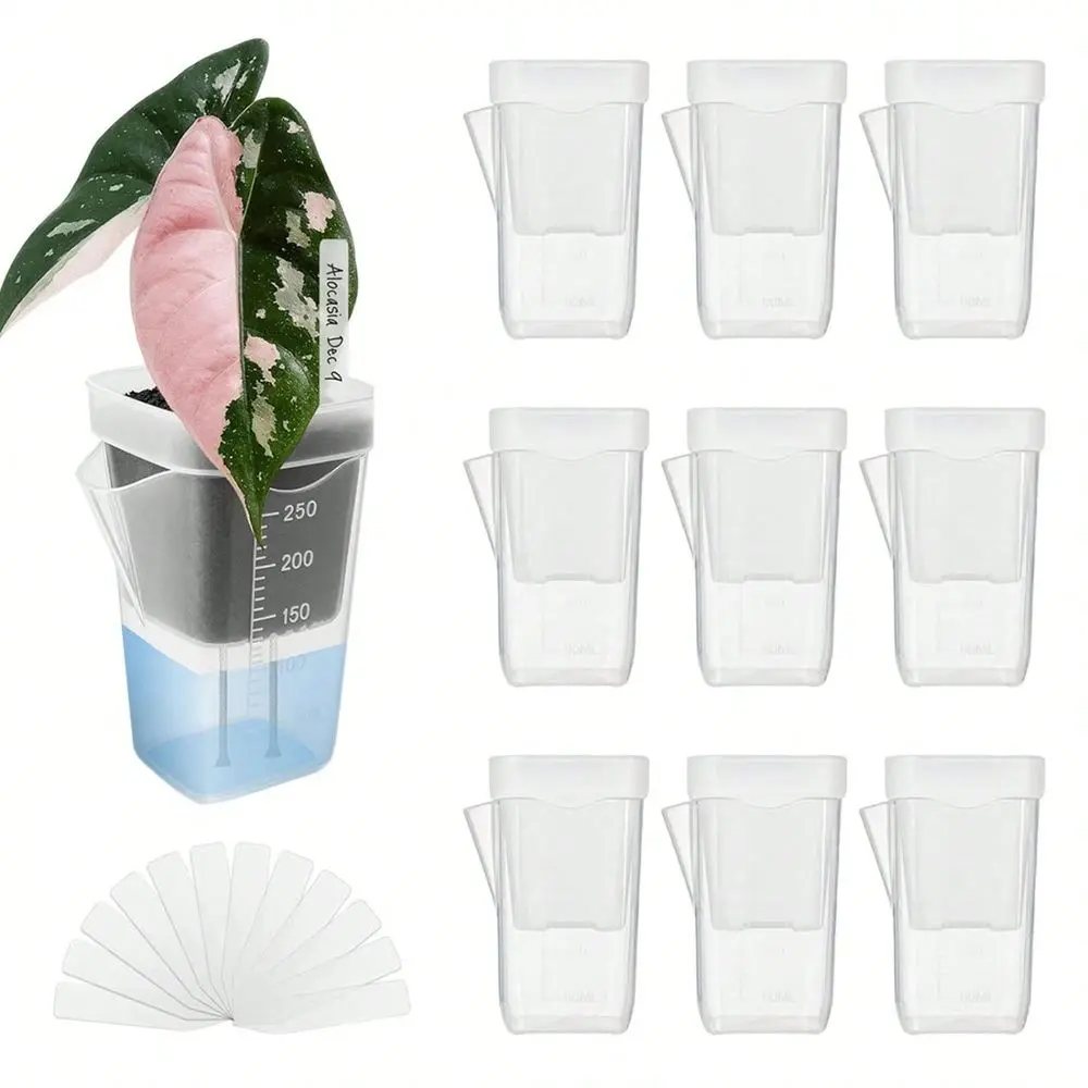 

Self Watering Plant Pots Mini Seedlings Pots Flowerpot Translucent Plastic Planters Plant Propagation Pot With Reservoir