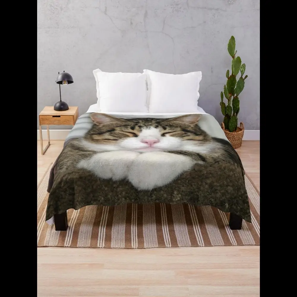 cobertor-super-macio-e-fofo-para-gatos-perfeito-para-conforto-aconchegante-na-sala-de-estar-ou-quarto