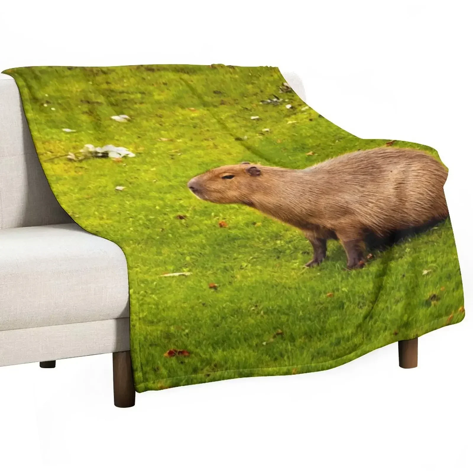 

Capybara Throw Blanket Decorative Sofas Furrys Blankets