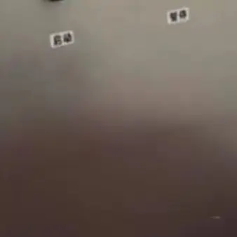 

220v Automatic Dumpling Momo Making Maker Steamed Stuffed Bun Machine Baozi Filling Machine