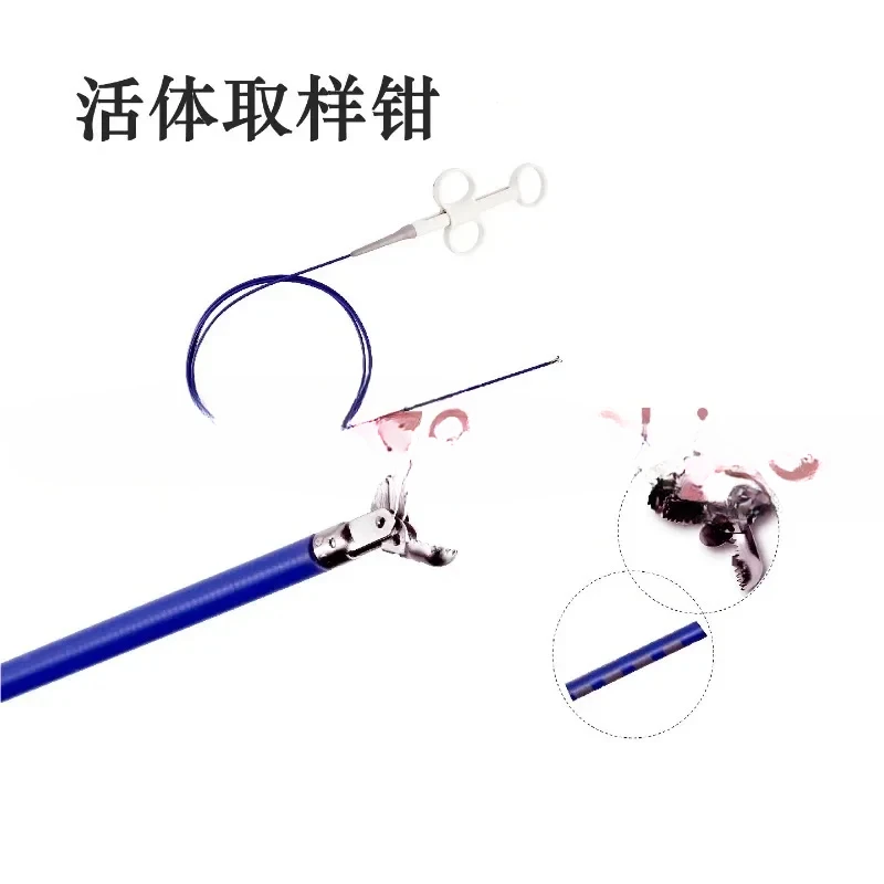 Biopsy forceps Endoscope Nasogastric endoscopy Bladder bronchoscopy Disposable live sampling forceps