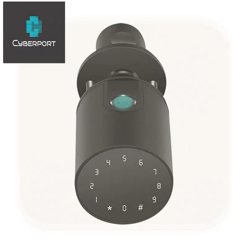 

Bluetooth Password Key Unlocking Smart Fingerprint Lock Tuya Smartlife App Remote Control