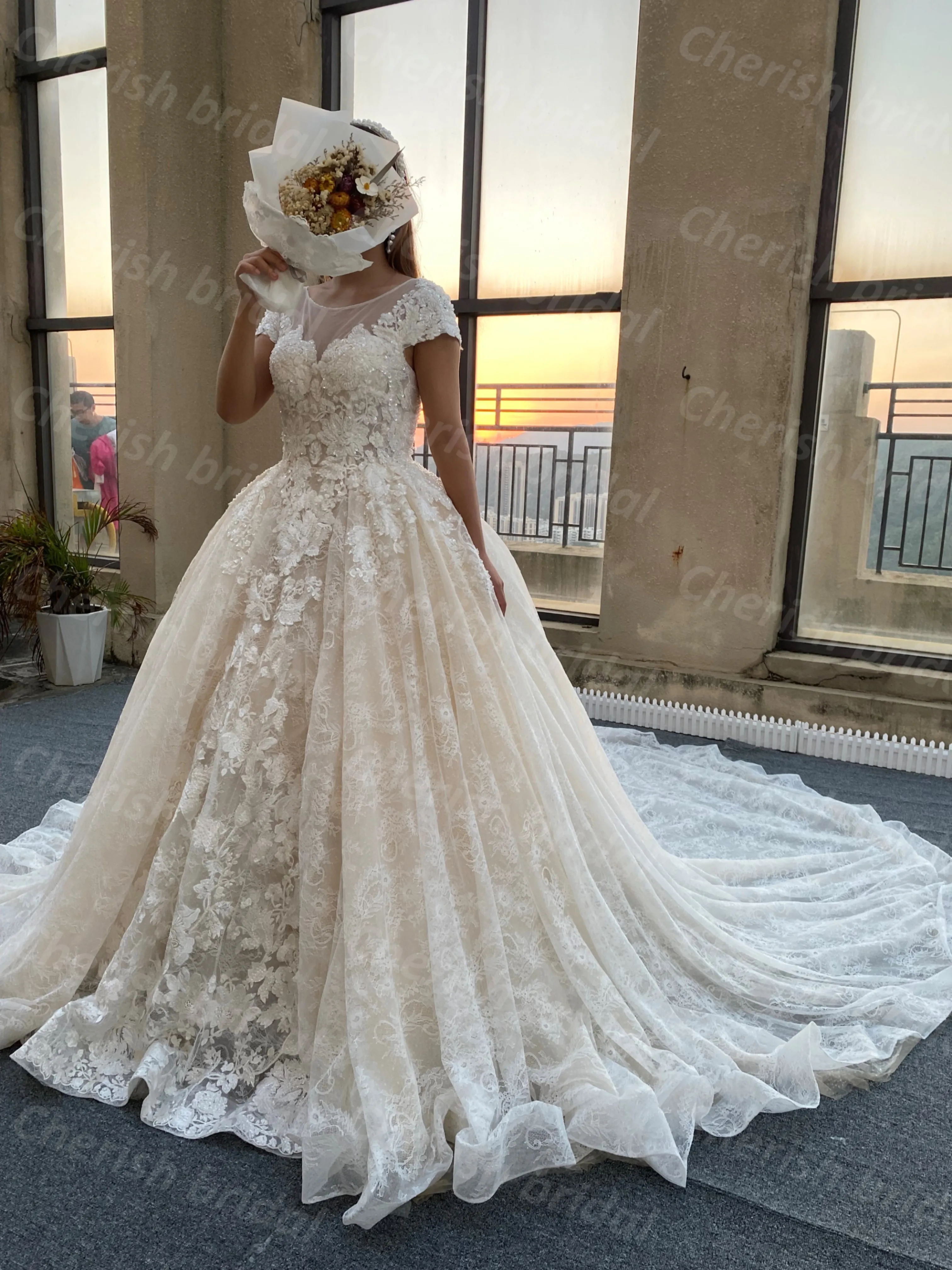 

C1061B Ball Gown Wedding Dress for Bride Women Short Sleeve Lace Beading and Sequin Bridal Gown Lace Applique and Zipper Back