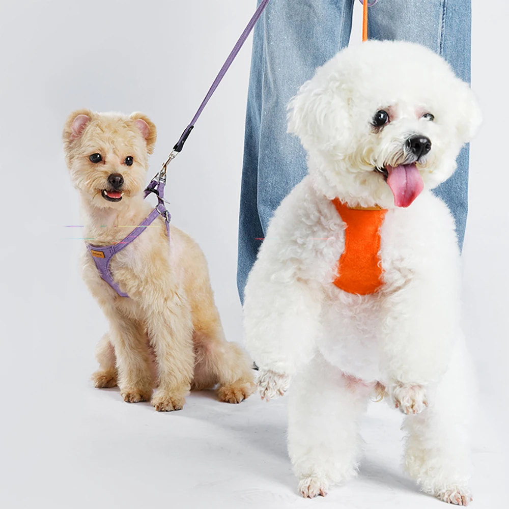 Luxury Genuine Suede Dog Harness and Lead Set | Soft Anti-Shock Padded Vest with Soft Leather Leash for Small Medium Large Dogs view 6