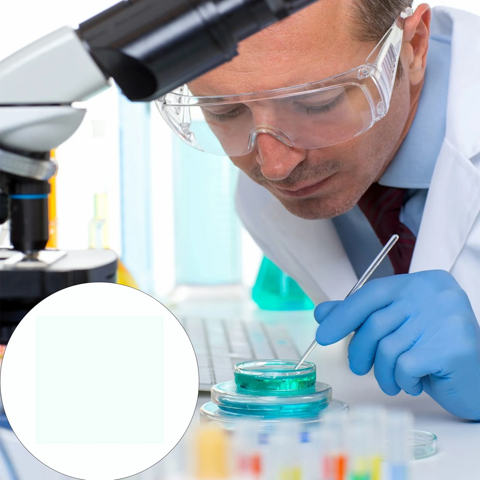 

10 Boxes Bioexperiment Slides Biology Class Props Biological Education Laboratory Glass Microscope