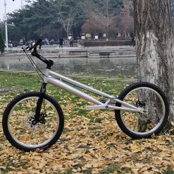 20 Inch Stunt Bike BMX Children's Fancy Seatless Acrobatic Performance Bicycle Hydraulic Disc Brake Rock Climbing Street Bike