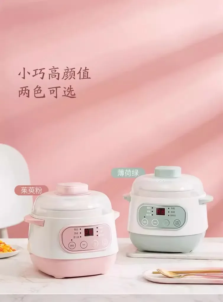 110V/220V Electric Steamer Ceramic Double Boiler for Home Use Multifunctional Slow Cooker USA Canada Japan