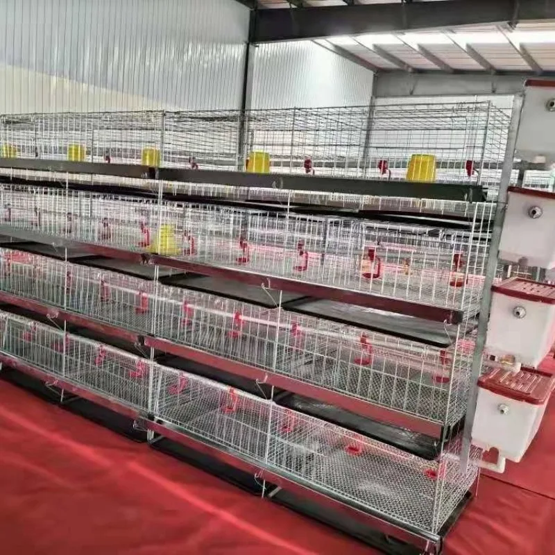 

Durable H Type Layer Chick Breeding Cage Automatic Broiler Cage for Sale Agricultural breeding chicken coop