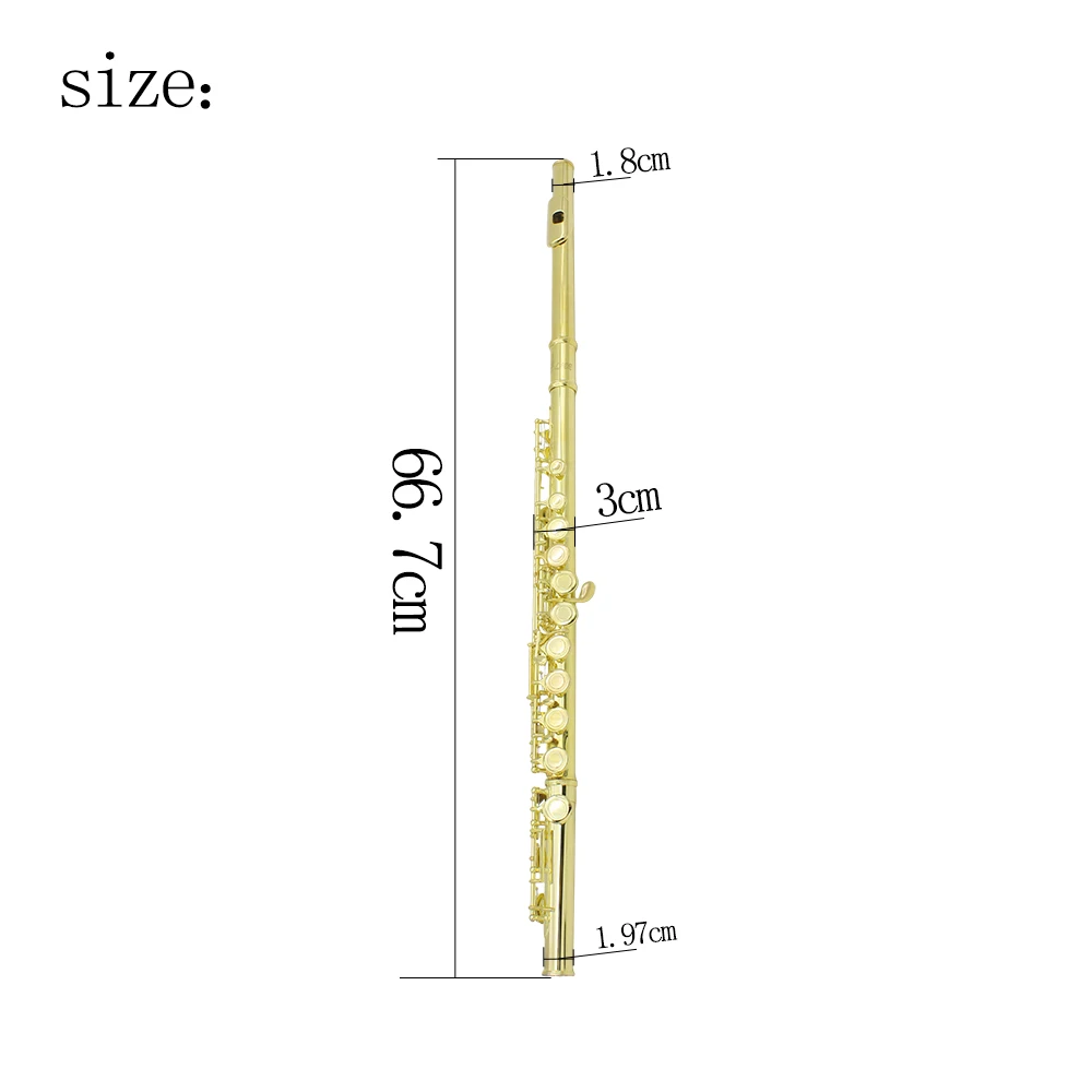 SLADE Flute 16 Closed Open Holes C Key Professional Transverse Flute with E key Woodwinds Instrument Beginners Leather Box Sets
