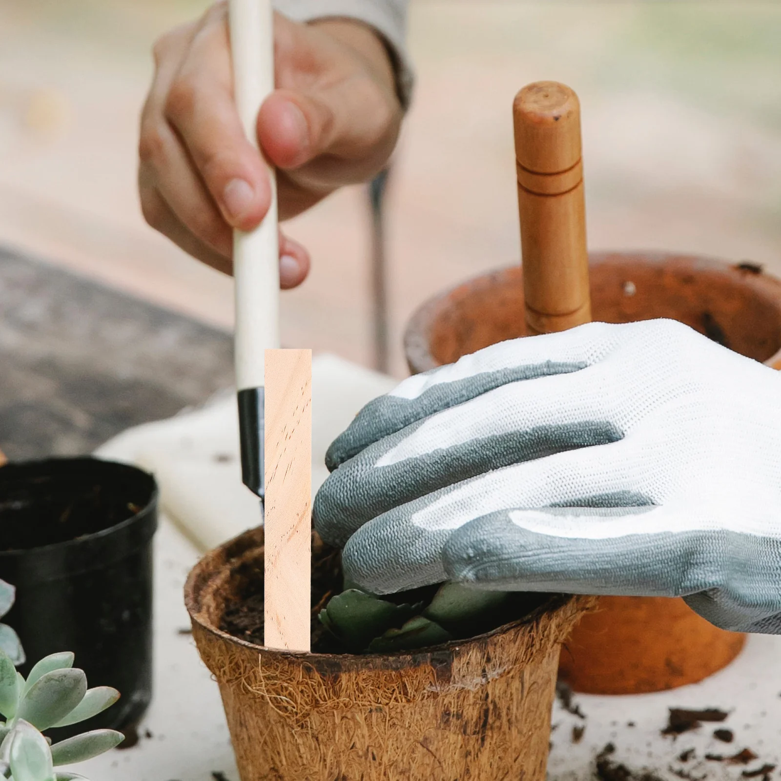 

20Pcs Garden Plant Identify Board Plant Name Tags Practical Durable Soil Insert Markers for Flower Beds Pots Gardens