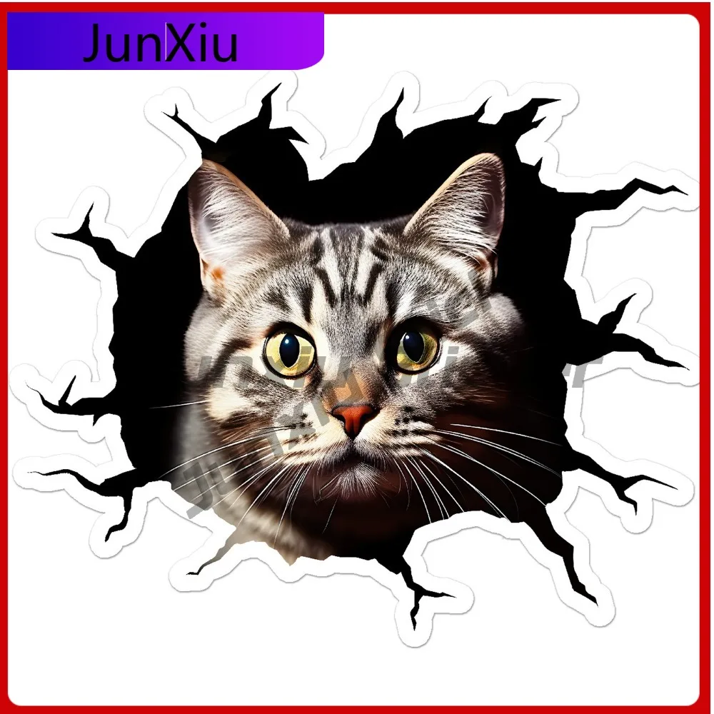 

Cat Kitten Peeking Trendy Must Have Durable Stylish Motorcycle Decal Decoration Waterproof Vinyl Car Laptop Window Bumper