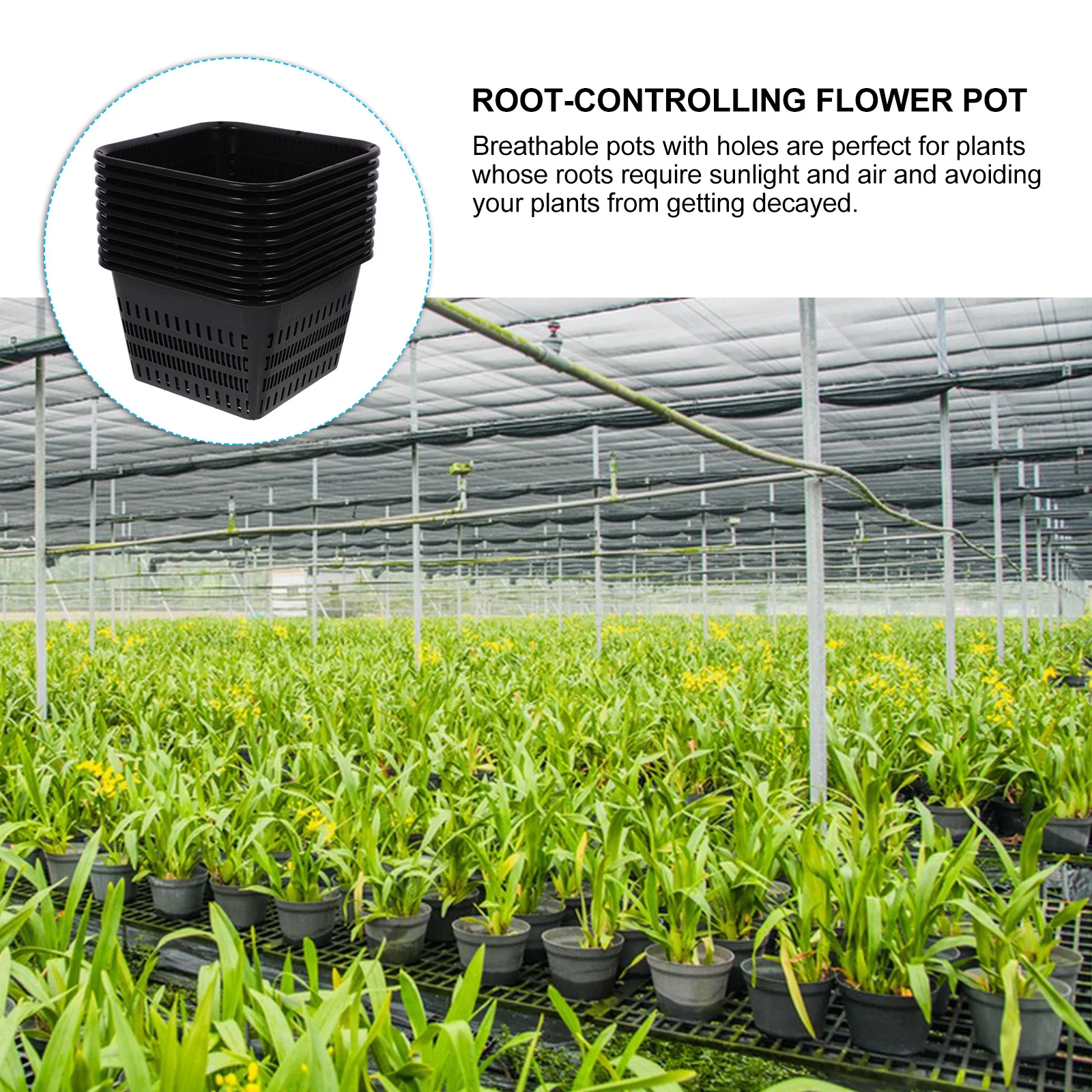 

10pcs Orchid Pots Large Flower Planting Baskets with Holes Root Control Durable Plastic Nursery Pot for Succulents Hanging