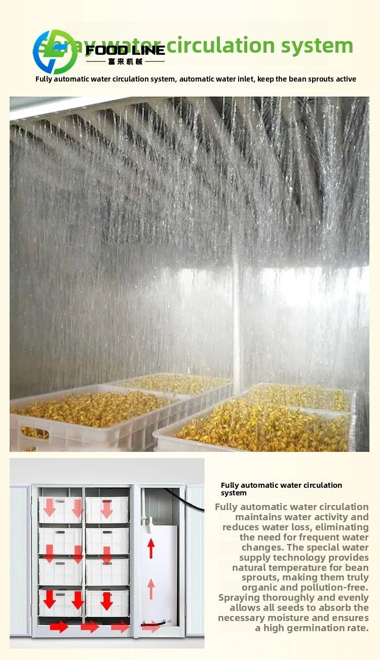 Anti Mildew Bean Sprout Growing Optimized Internal Environment Effectively Inhibit Mold Generation During Sprout Whole Growth