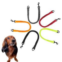 Winhyepet Dog Leash Extend Rope, Elastic Buffer Leads, Pet Accessories, Walking and Running Harness Collar, 5 Colors