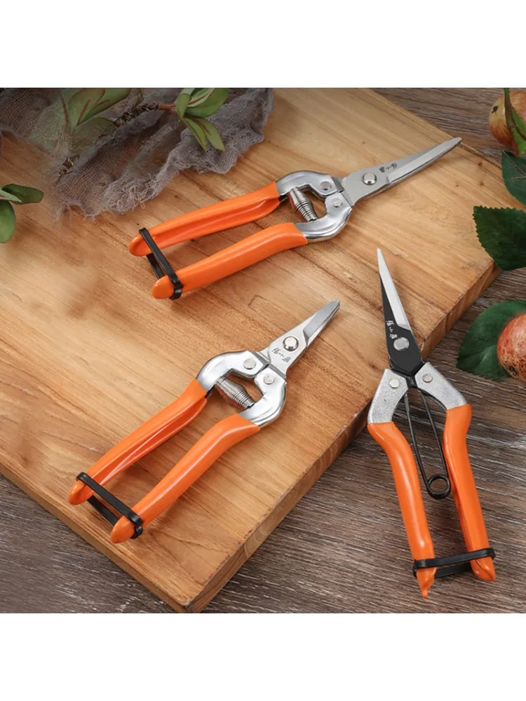 ~Fruit thinning scissors picking grapes fruit warping head gardening scissors bonsai pruning pruning tools