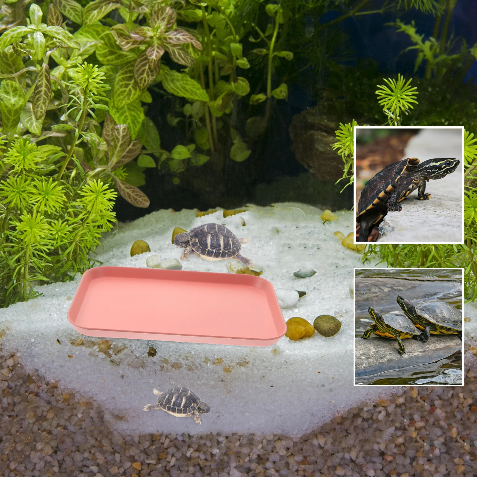 

Reptile Water Dish Tortoise Feeder Bowl Smooth Rim Escape Prevention High-Grade Resin Food Container For Lizard Snake