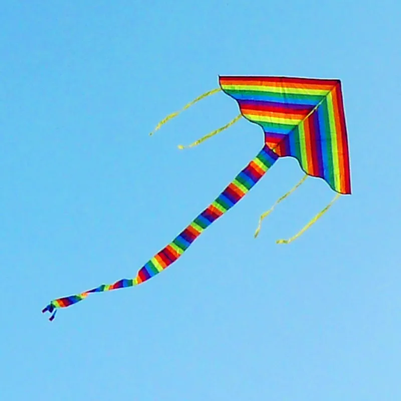 free shipping large rainbow kite kids kite flying string line outdoor fun toy beach kite windsock cometa fish kite flying bird