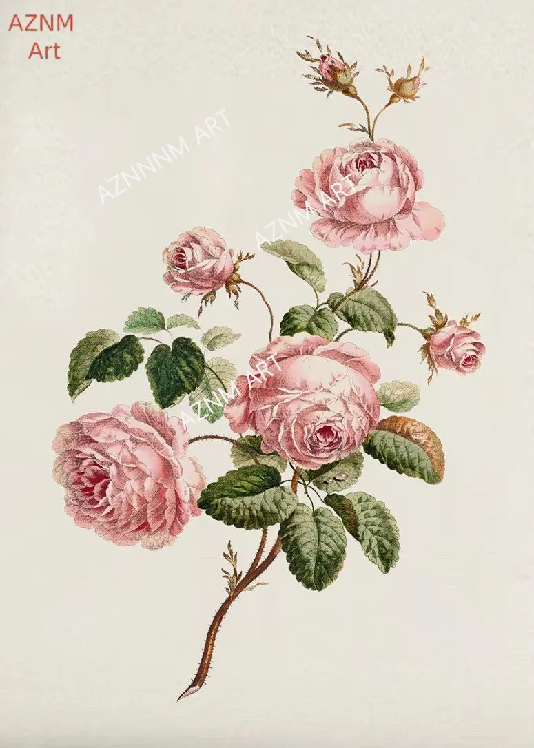 Vintage Rosa Rosen Blumenposter Druck Botanische Blumen Leinwandgemälde Wandkunst Bilder für Landhaus Wohnzimmer Heimdekoration