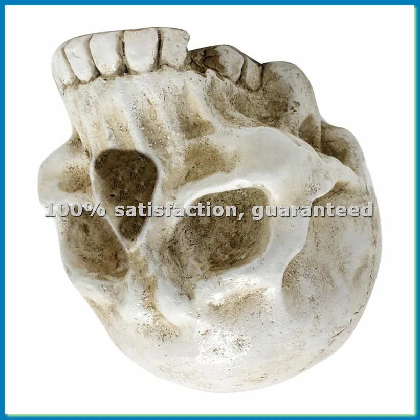 Skull Decoration Skull, Day of the Dead Decoration Human Skull Resin Model Art-A57M