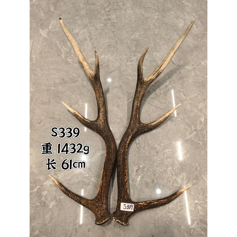 Pair of Natural Shed Sika Deer Antlers – Whole Branches for Medicine, Powder, Wine Soaking, Archery Material, Knife Stand