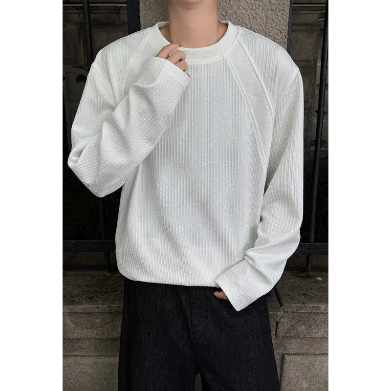 Mens Casual Crew Neck Knit Sweater Long Sleeve Vertical Texture Raglan Sleeve Soft Fabric For All Season Layering view 2