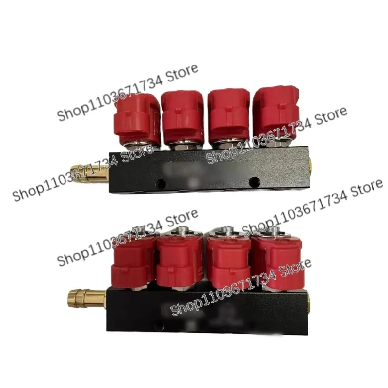 

Lpg 8Cyl Cng Ngv Rail Injector 3 Ohm for Cng Glp Conversion Kit