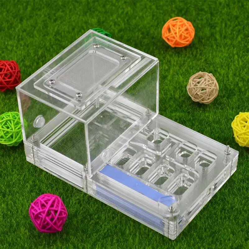 

16*10*8.5cm moisture with feeding area ant nest ,ant farm acryl, insect ant nests villa new pet advanced mania for house ants