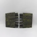 1pair LDB