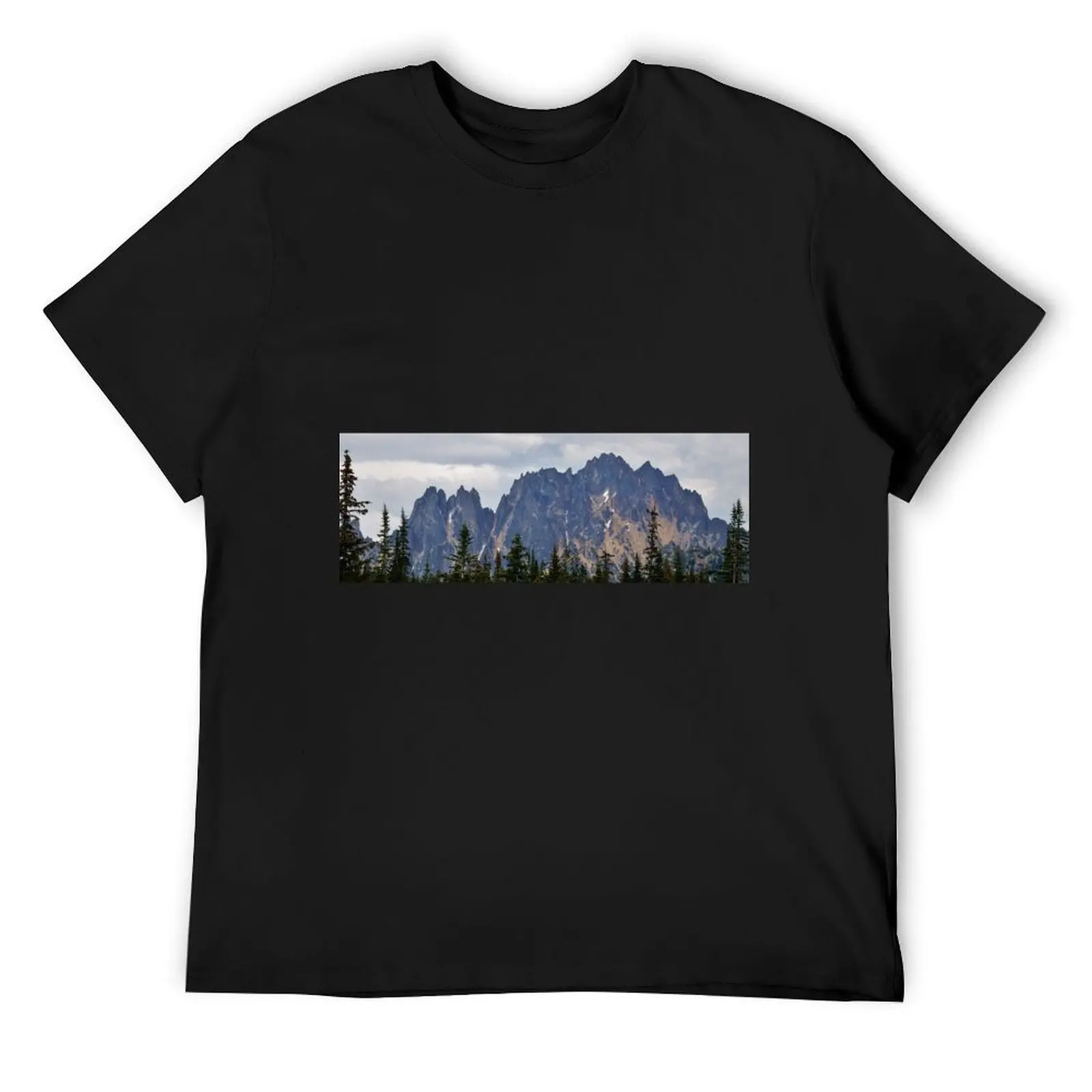 

North Cascades T-Shirt hippie clothes sweat Aesthetic clothing for a boy Men's t-shirt