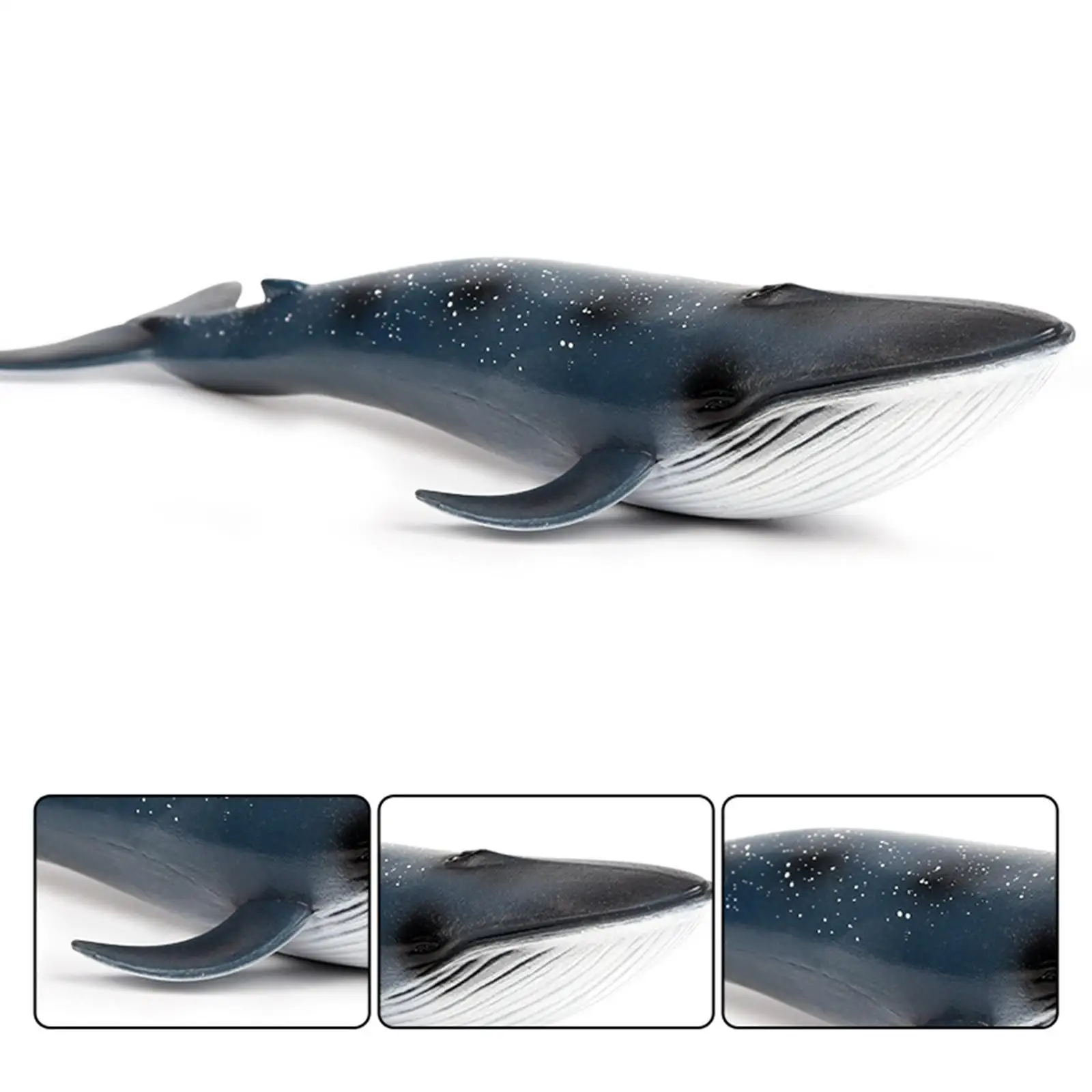 Colección de modelos de ballena azul, figuras de ballena, modelo de juguete para niños y niñas