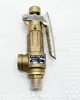 S10L 銅安全弁 1/2 
