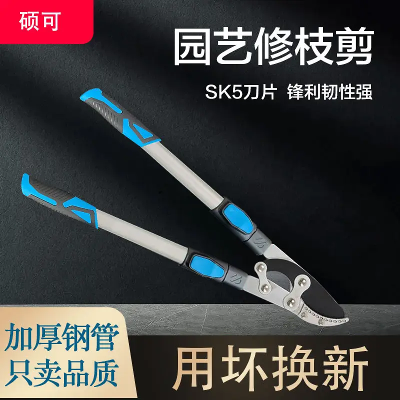 Fruit tree pruning, cutting thick branches, vigorously cutting branches, special scissors for branch extension, strong scissors
