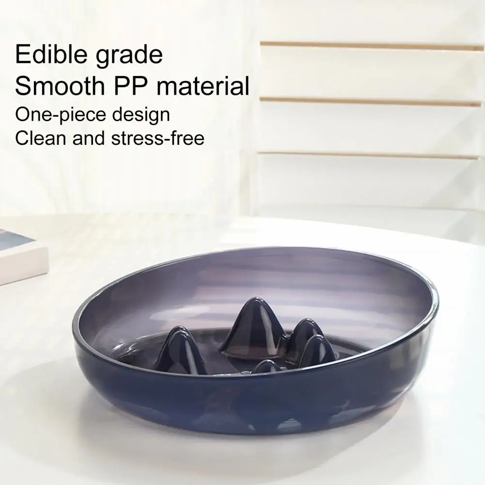 

Cat Bowl Wear-resistant High Capacity Stable Pet Slow Feeder Bowl Pet Supplies