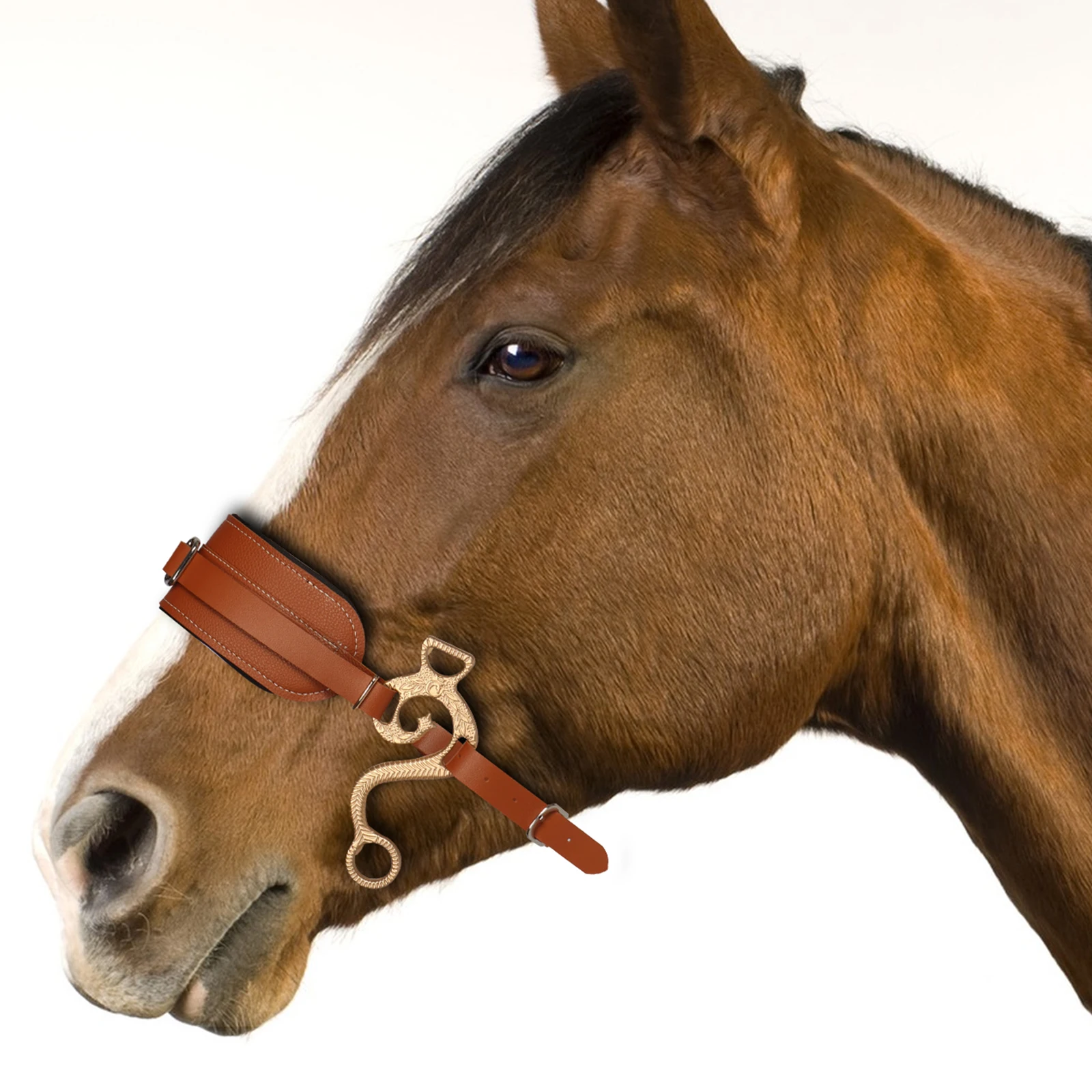 Horse Bit Brown Bridle Leather Padded English Western Adjustable Nose Curb Chain Horse Riding Equestrian Equipment