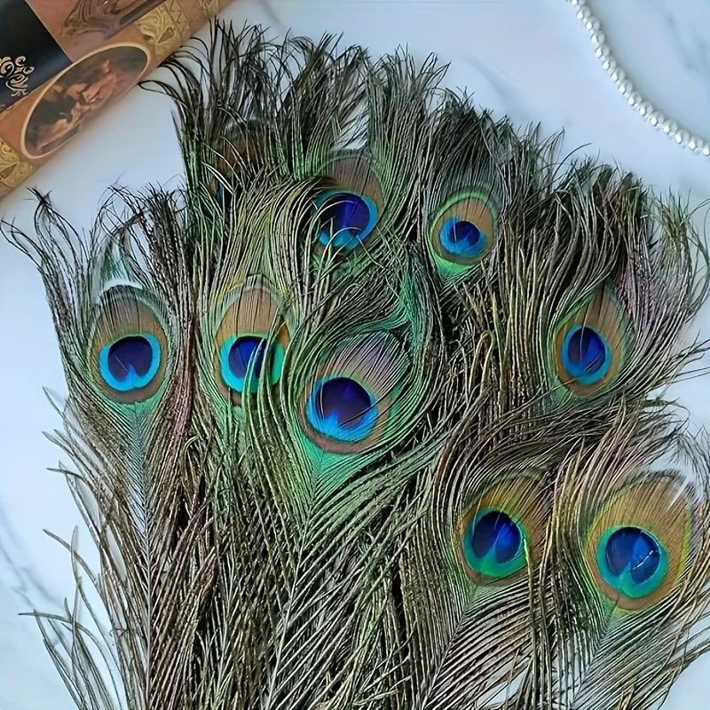 50 Pcs Peacock Feathers Long Natural Bulk Suitable for Vase Craft Vase Wedding Family Party Christmas Decoration Peacock Feather