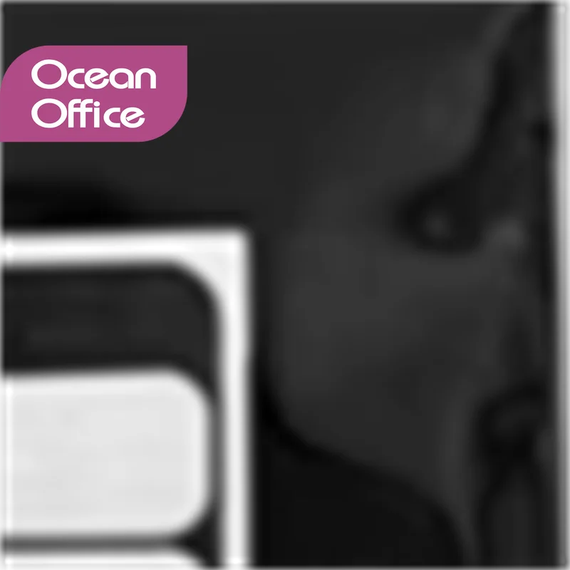 

D-2505 Developer for Toshiba 2006 2306 2506 2307 2507 2505 2505H 2505F 2802A 2822 2523A 2323 2823 2829A 2303A 2803 2309A 2809A