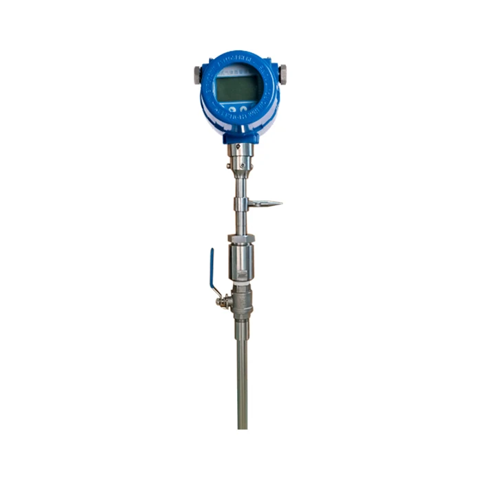 SS304 Smart Digital Compressed Air Flowmeter Co2 Methane Nitrogen O xygen Thermal G as Mass Flow Meter