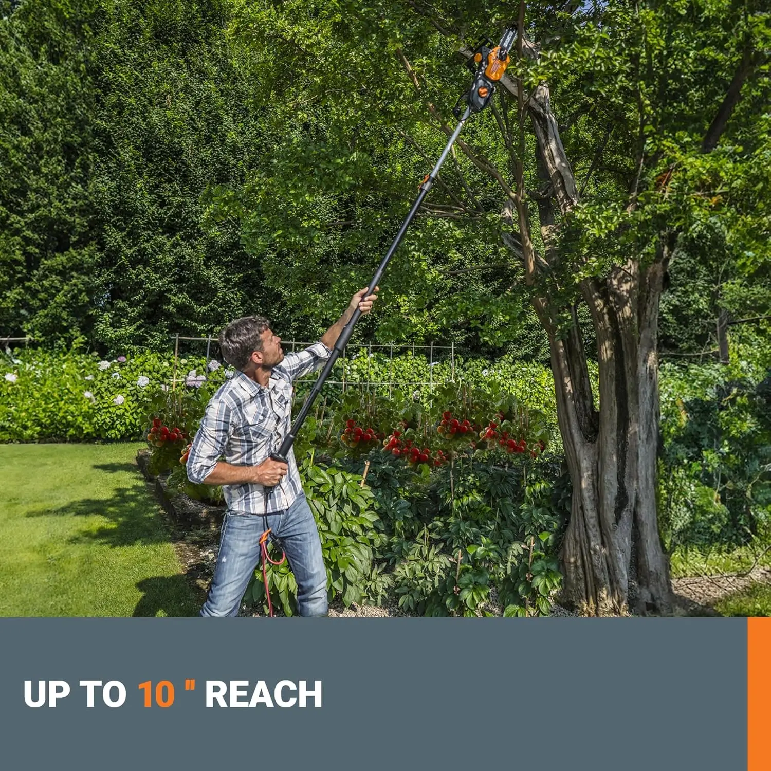 WG323 20V Power Share 10" Cordless Pole/Chain Saw with Auto-Tension (Battery & Charger Included)