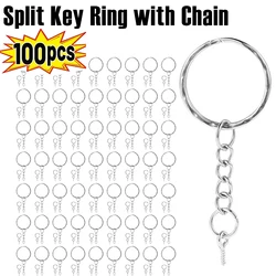 Keychain Rings Metal Blank Keyring Split Key Ring with 100Pcs Jump Rings & 100Pcs Screw Eye Pins for Organizing Keys Jewelry
