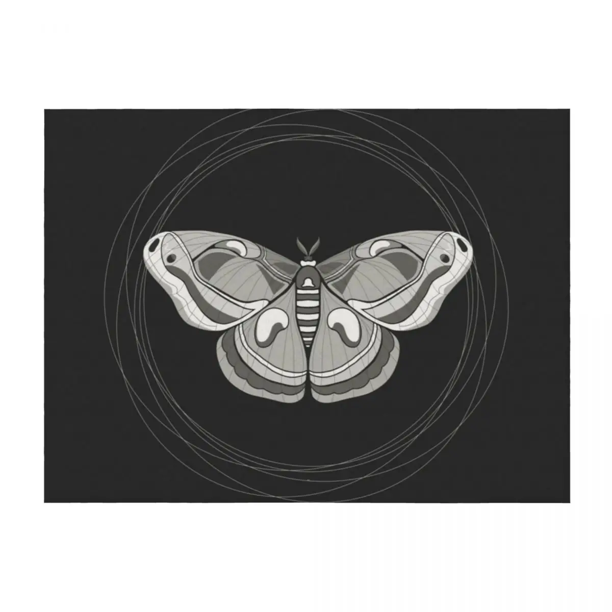 

Cecropia Moth Throw Blanket Camping Vintage Blankets For Bed christmas decoration Blankets