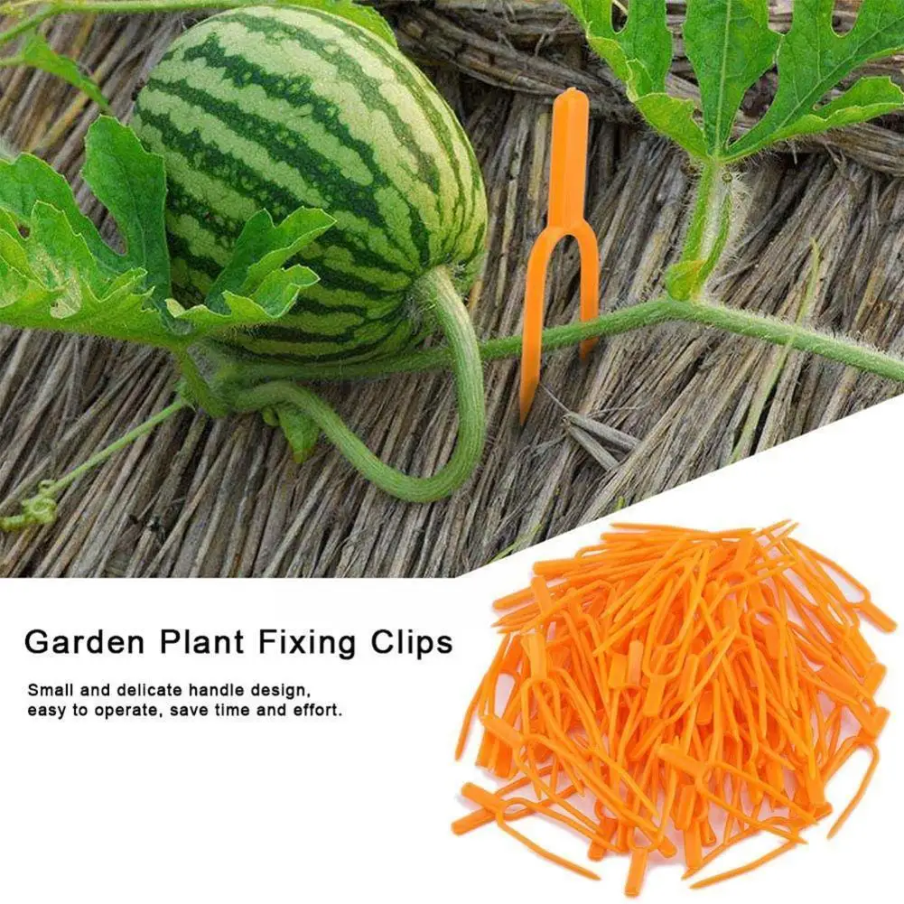 

50Pcs Plant Stem Stolon Fixator 50Mm/65Mm Garden Strawberry Fork Clamp Plant Clip Fixture Fastening Support Planting Waterm F2G5