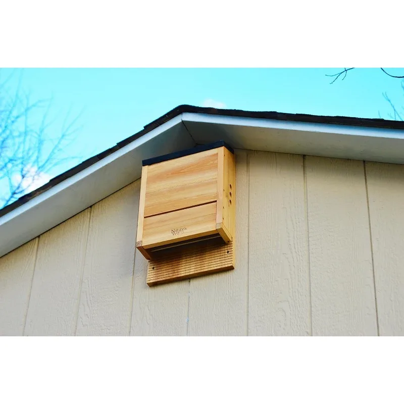 Bird Products CWH6 Triple Chamber Cedar Bat House, 20.5