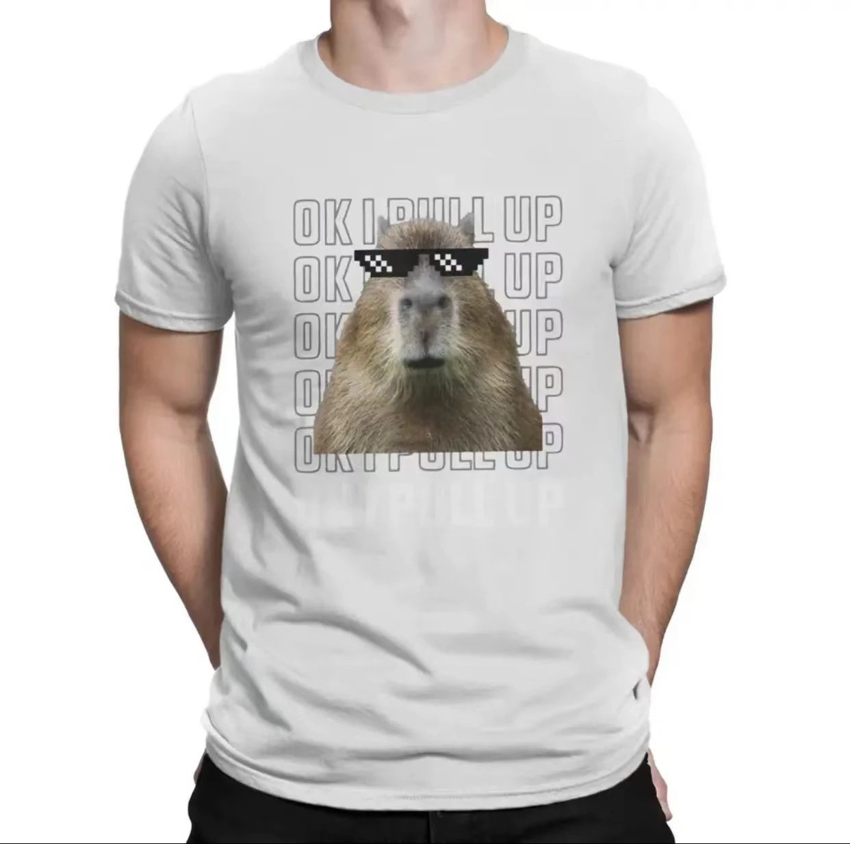 Crazy Ok I Pull Up 3 T-Shirts Men O Neck T Shirts Capybara Short Sleeve Tees Graphic Clothes 80080