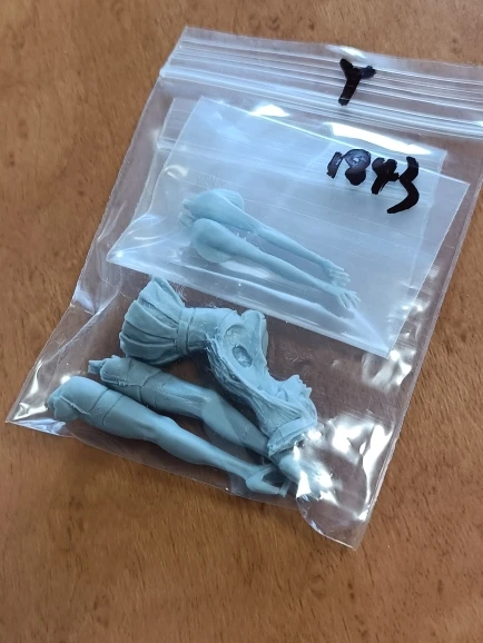 Buyer photo of this resin kit