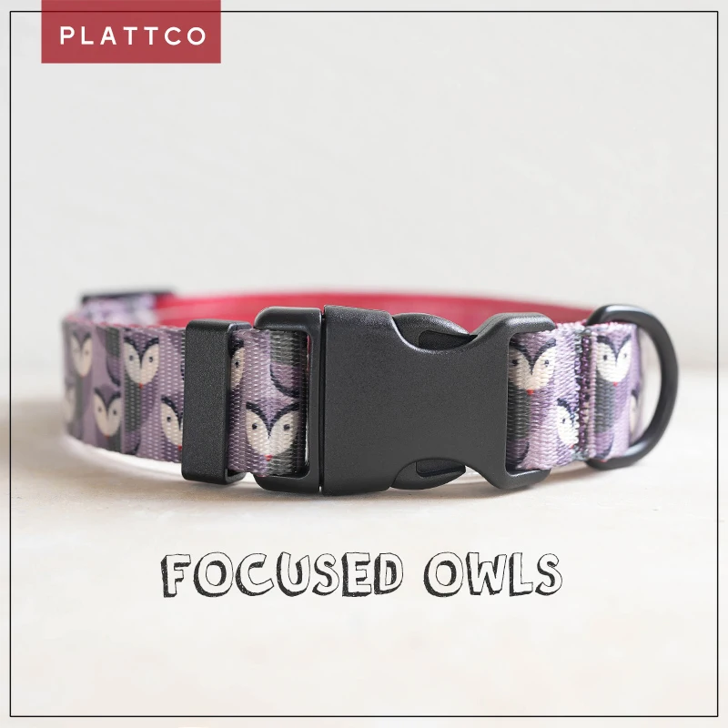 PLATTCo personalized dog collar FOCUSED OWLS collars for small medium large dogs accessories pet product pitbull 5 sizes PDC316