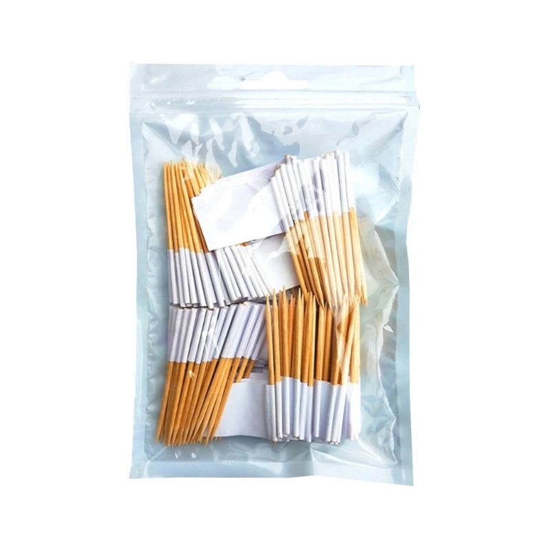 100pcs Blank Toothpick Flags Mini Labels Cheese Marker Picks Cupcake