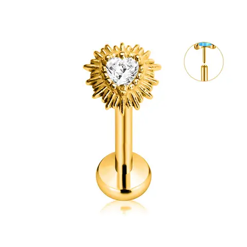 ASTM F136 G23 टाइटेनियम फूल पंखुड़ियाँ स्टार हार्ट बटरफ्लाई थ्रेडलेस पियर्सिंग पिन पुश इन लैब्रेट डेथ कॉन्च इयररिंग 16G 18G 20G 10 best sales छेदन में धक्का - №9